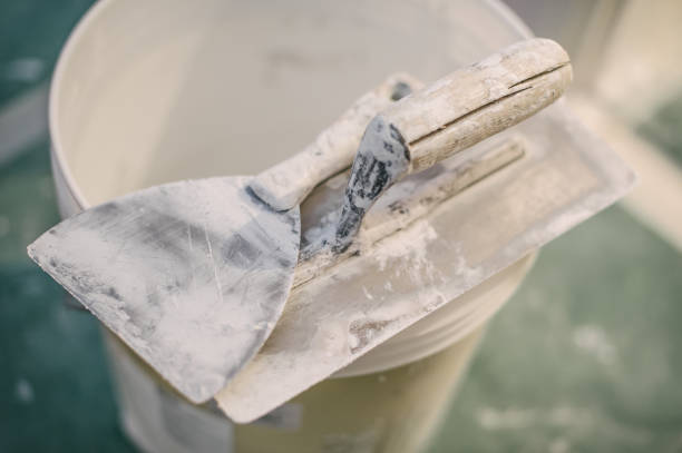 Best Basement Mold Removal  in Tennessee Ridge, TN